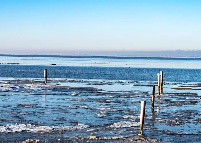 Robbe Puck By Interhome Daire *